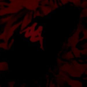 Size 9 I don’t want them no more